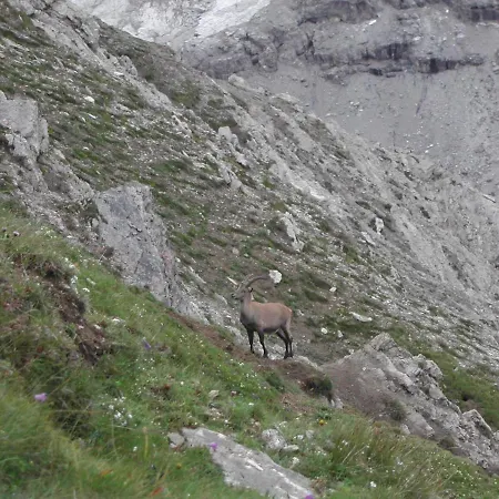 Casa Giulia Apartamento *