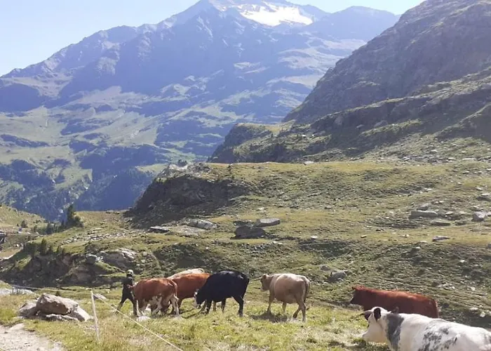 Casa Giulia Бормио