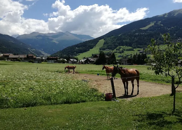 Casa Giulia 博尔米奥